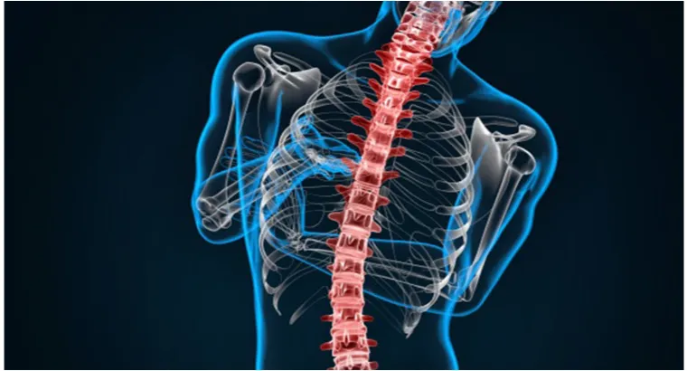 Spine Laser - PL3D (Ortho)